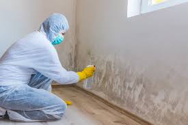 Best Emergency Mold Remediation  in Long Creek, IL